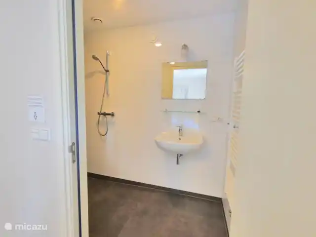 Badkamer beneden.